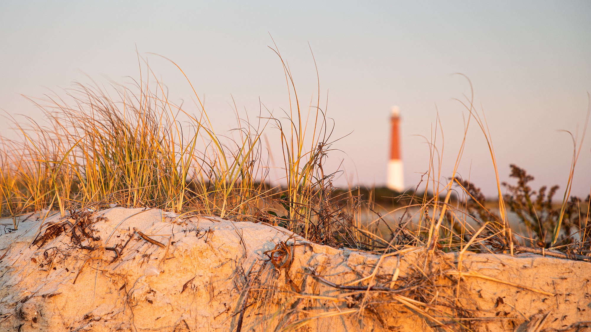 images/Barnegat-Trash-Bin-Cleaning.jpg